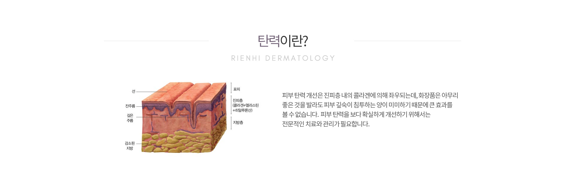 피부탄력이란?