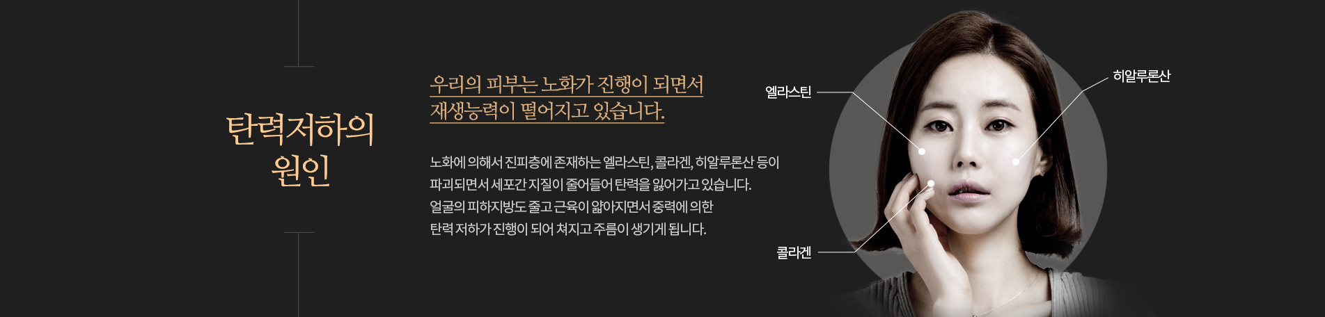 피부탄력저하의원인