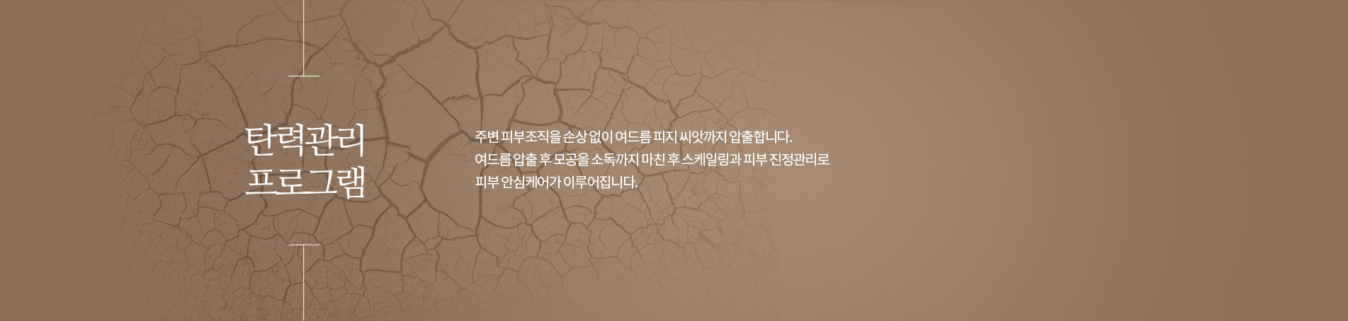 탄력관리프로그램