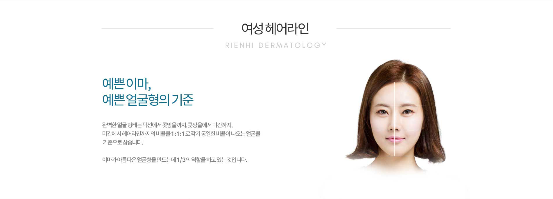여성헤어라인