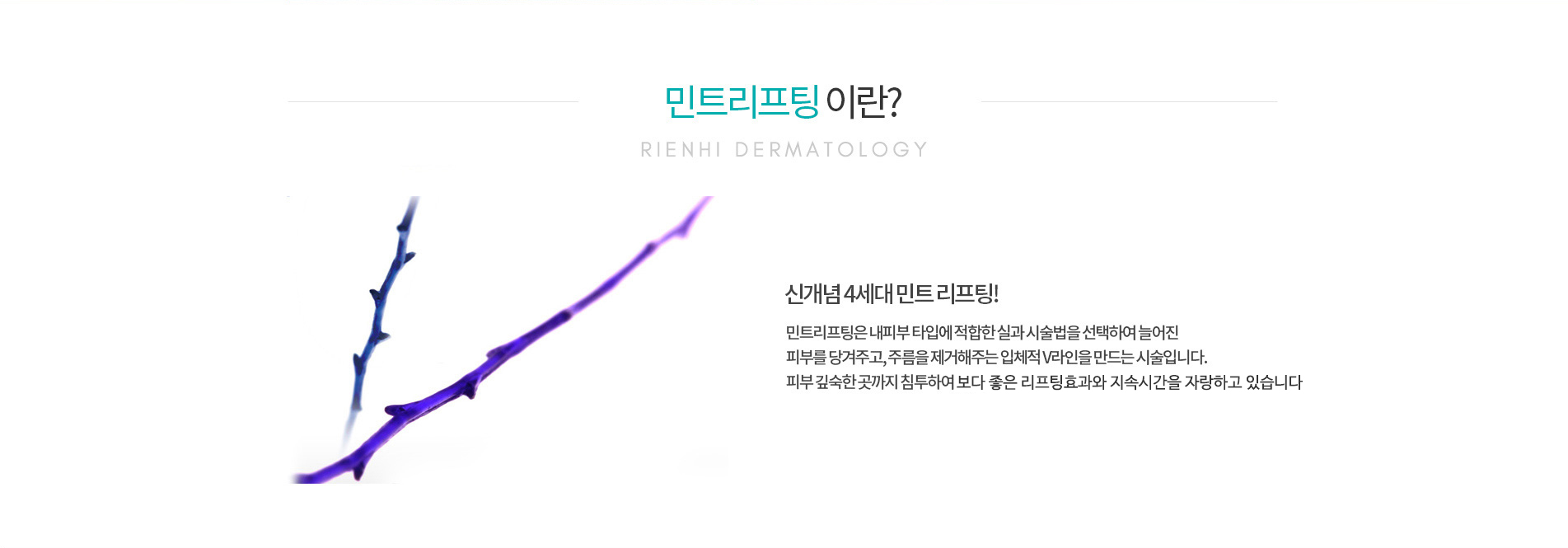 민트리프팅이란