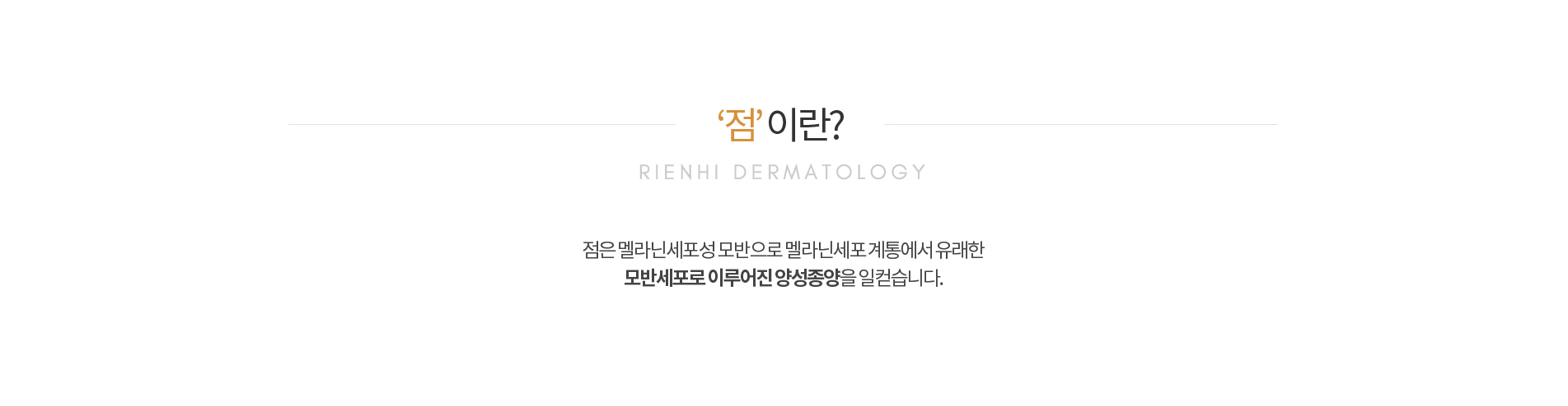 점이란