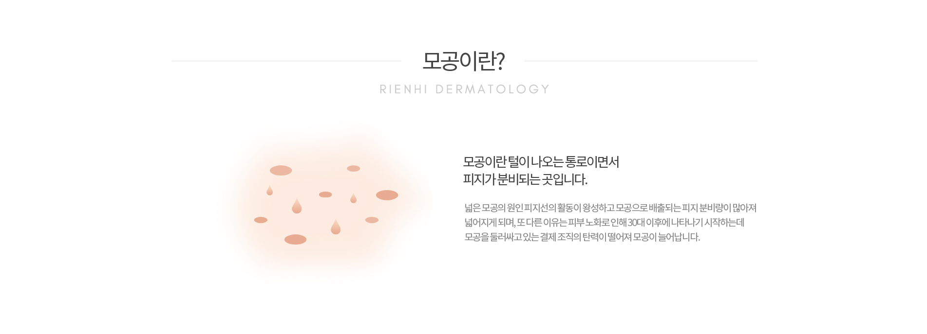 모공이란?